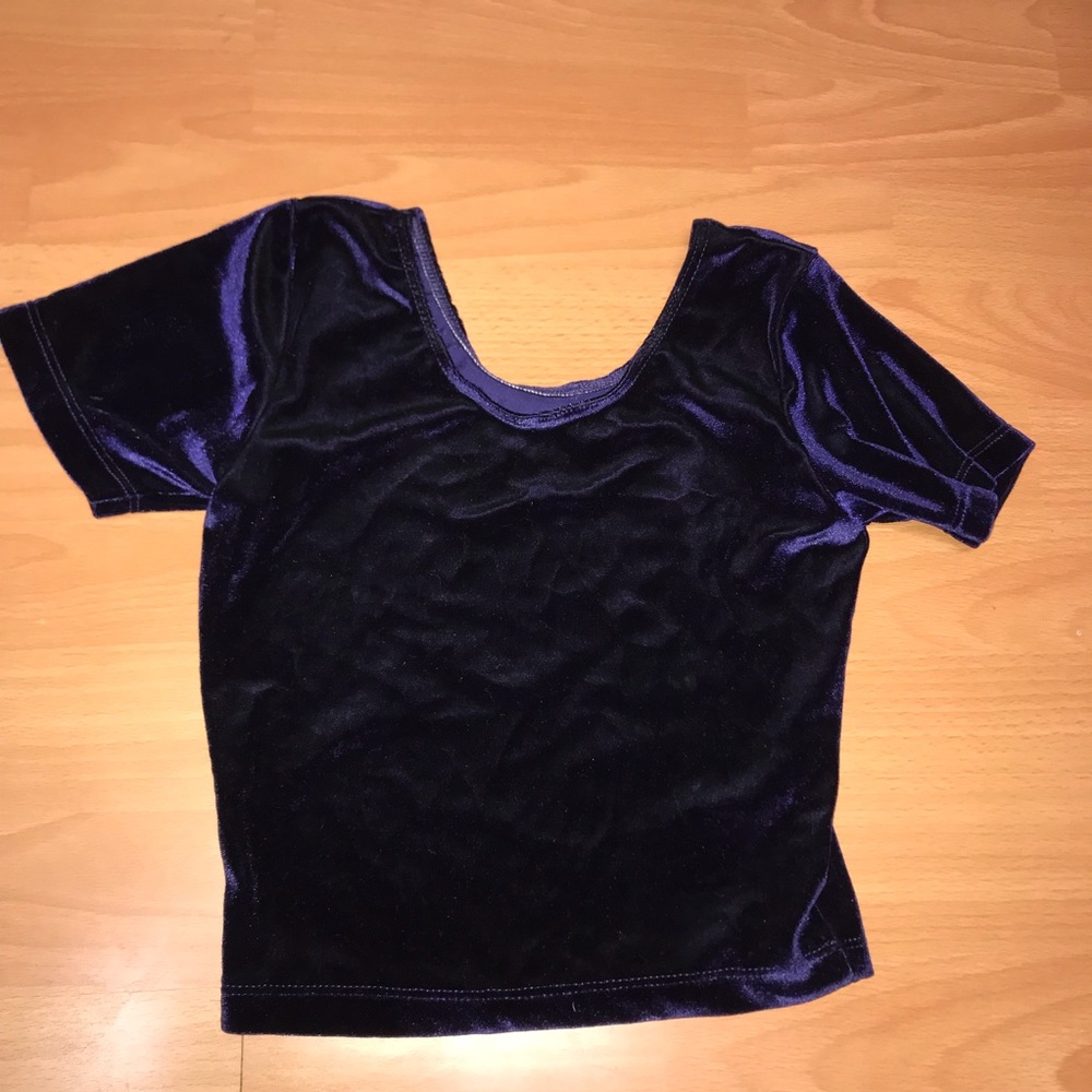 American Apparel Velvet Crop Top